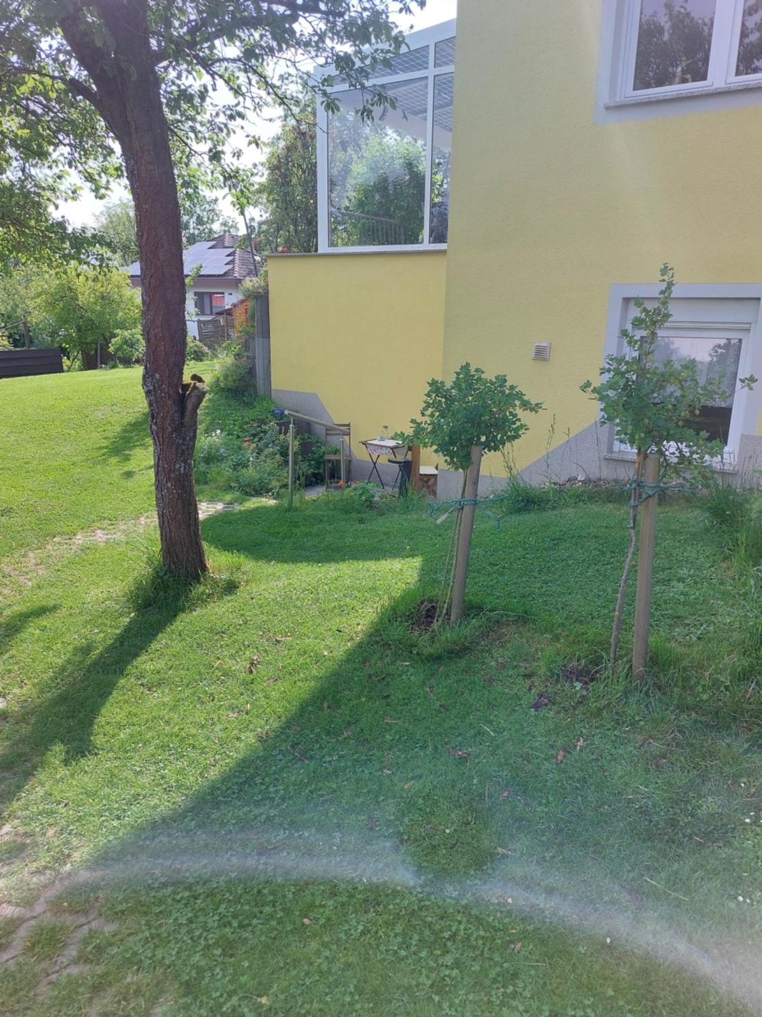Gelbes Haus Heldritt Bad Rodach Exterior foto